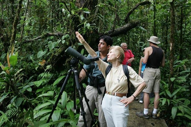 Birding Tours