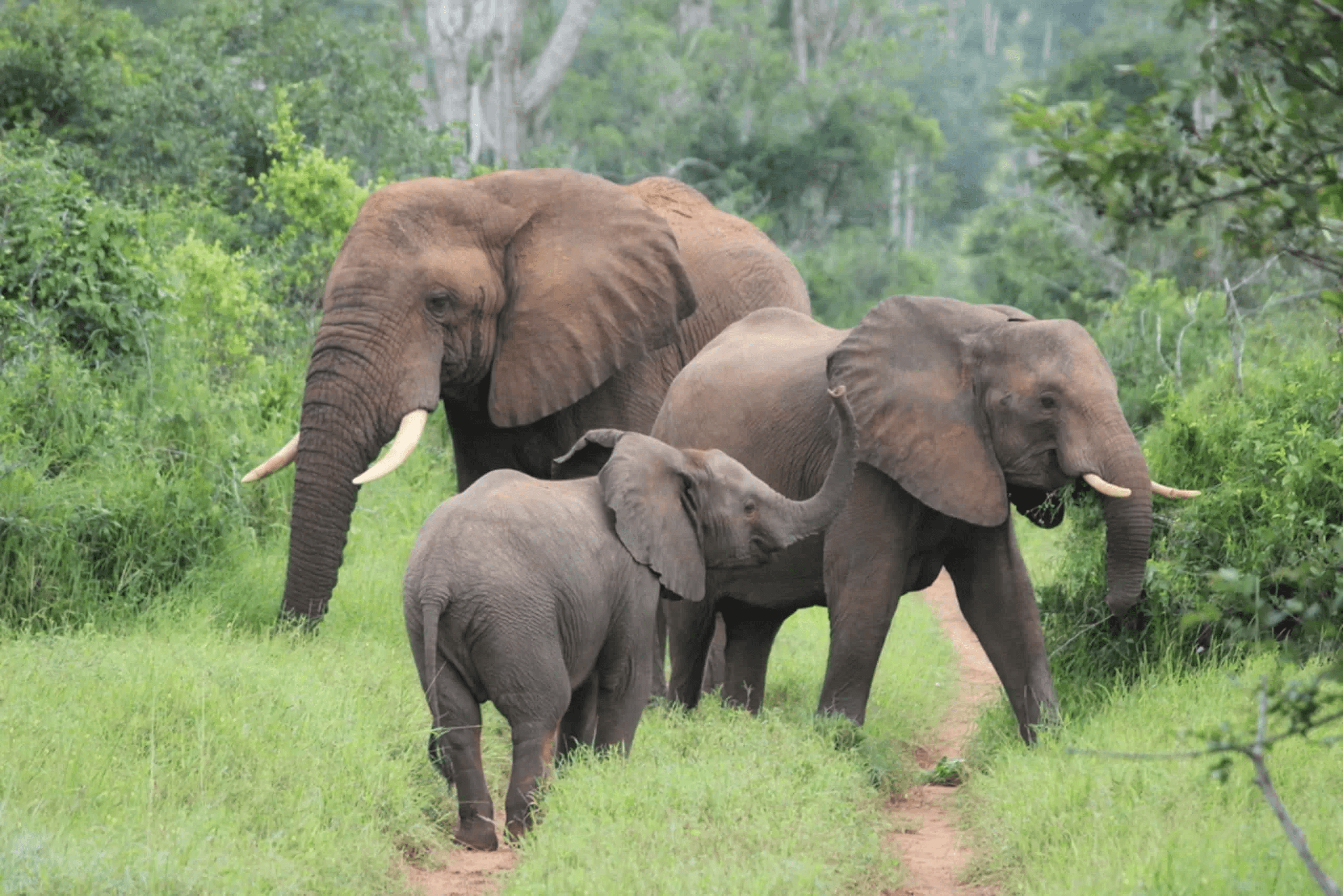 Fada & The Geologic Wonders