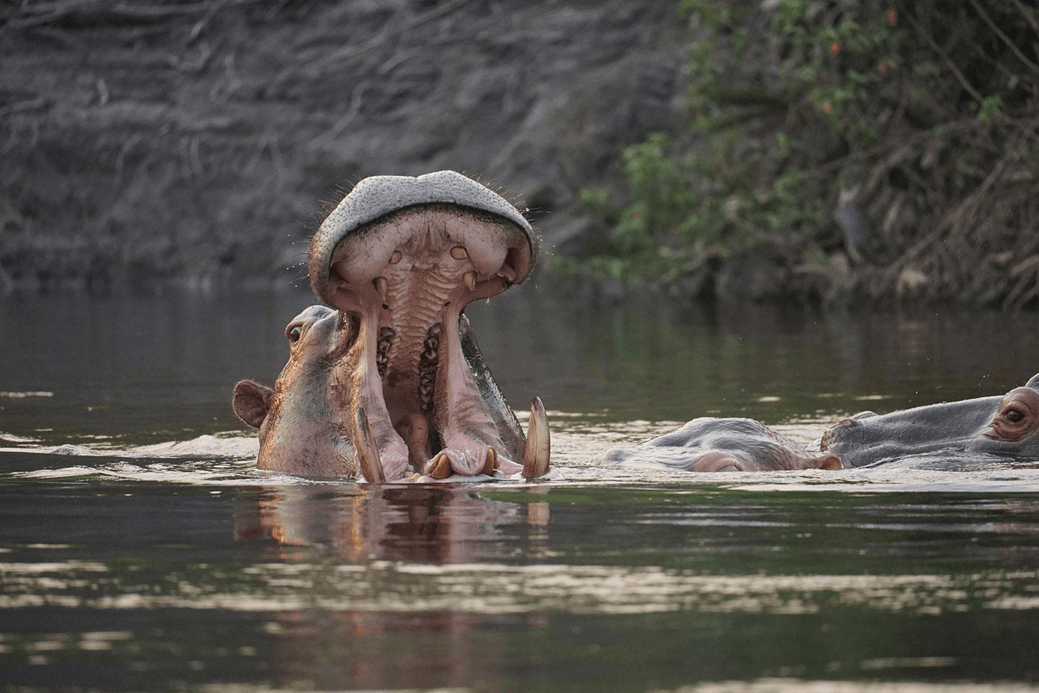 Gaoui Cultural Heritage & Pottery