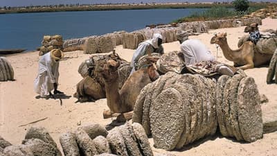 Lake Chad - Western Chad, Chad
