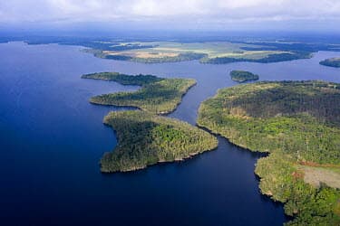 Conkouati-Douli National Park - South-West Congo, Republic of Congo