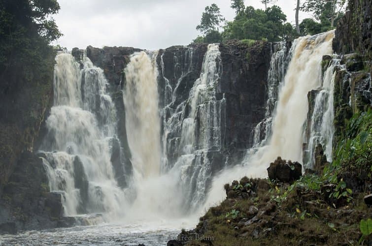 Ivindo National Park - North-East Gabon, Gabon