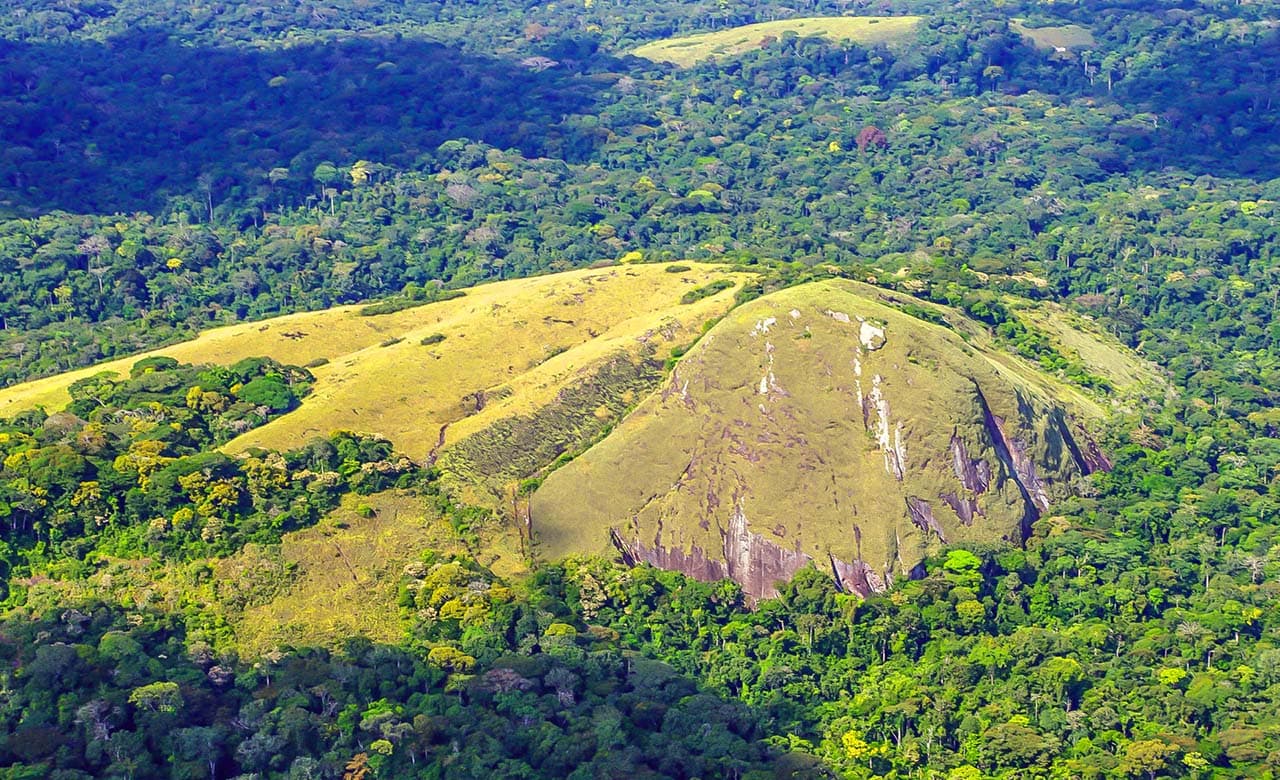 Minkébé National Park - North-East Gabon, Gabon