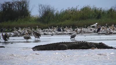 Boali Falls & Crocodile Lake Day Trip