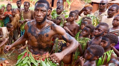 Cultural Immersion: Mbaiki Pygmy Experience