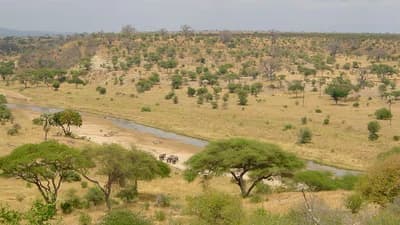 Points forts de N'Djamena et du fleuve Chari (3 jours)