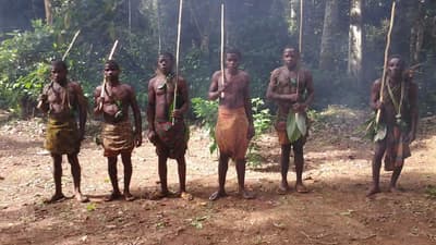 Cultural And Pygmy Discovery