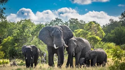 Eco-Tourism, Wildlife And Cultural Discovery Tour