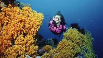 Scuba Diving Tour