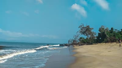 Sightseeing And Beach Vacation Tour