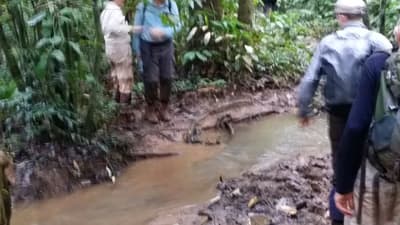 Expédition dans la Nature Sauvage de la Salonga (12 Jours)