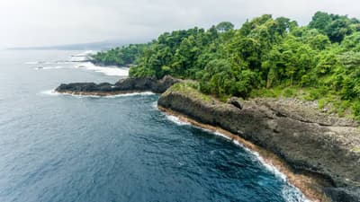 Bioko Island Adventure 6 Days
