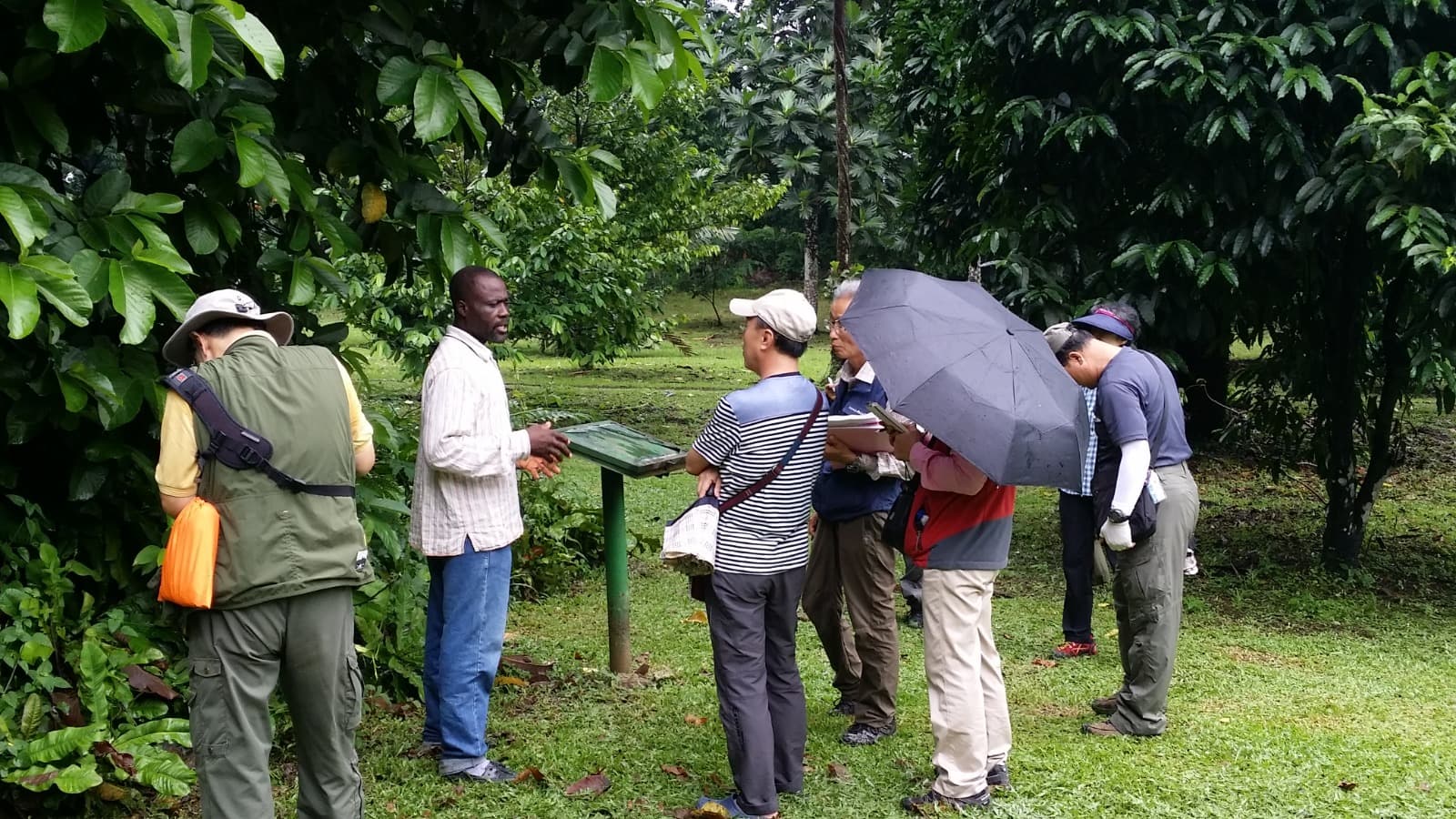 Traveller at an airport check-in counter with luggage and travel documents ready