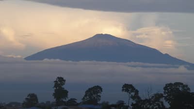 Mount Cameroon (Fako) - Near Nkongsamba, Cameroon