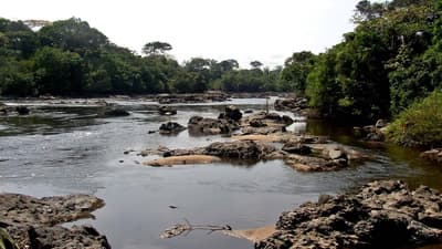 Exploration du Bassin du Fleuve Congo (8 Jours)